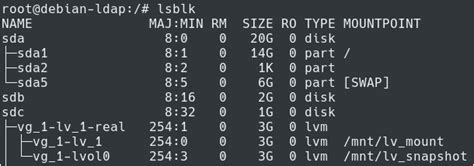 mount lvm|lvm mount snapshot.